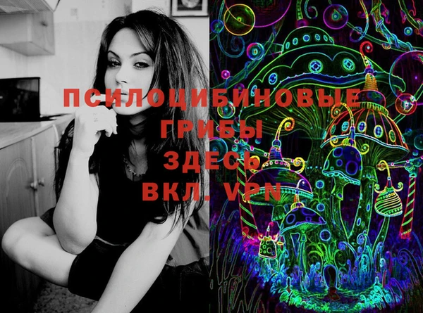 дмт Семёнов