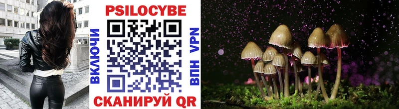 shop какой сайт  Новоаннинский  Псилоцибиновые грибы мухоморы  наркотики 
